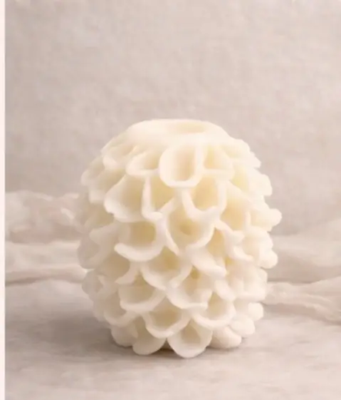 Liora Coral